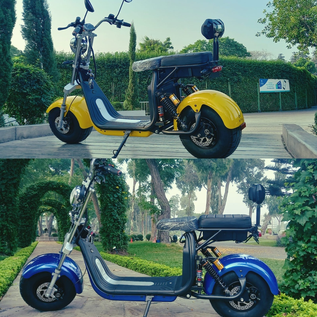 Moto eléctrica [3874000000004]