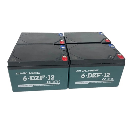 Batería de plomo ácido de 48V 20ah 4pcs